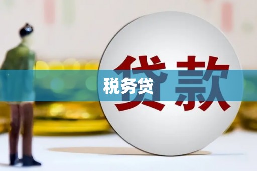 慈溪税务贷