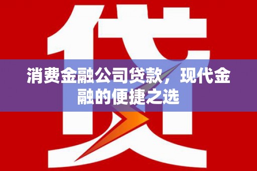 慈溪消费金融公司贷款，现代金融的便捷之选