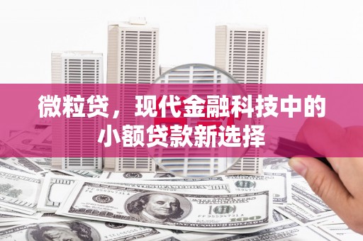 慈溪微粒贷，现代金融科技中的小额贷款新选择