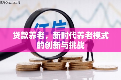 慈溪贷款养老，新时代养老模式的创新与挑战