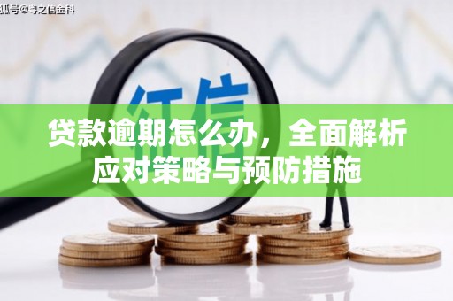 慈溪贷款逾期怎么办，全面解析应对策略与预防措施