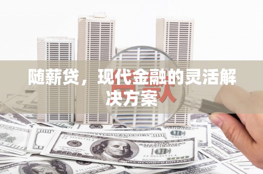 慈溪随薪贷，现代金融的灵活解决方案