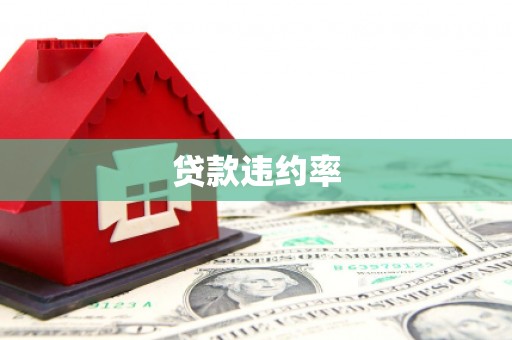 慈溪贷款违约率