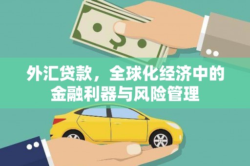 慈溪外汇贷款，全球化经济中的金融利器与风险管理