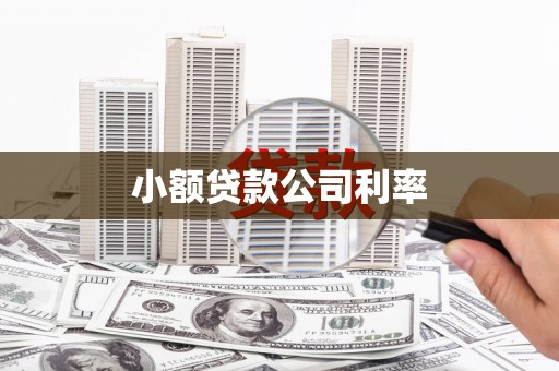 慈溪小额贷款公司利率