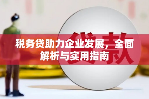 慈溪税务贷助力企业发展，全面解析与实用指南