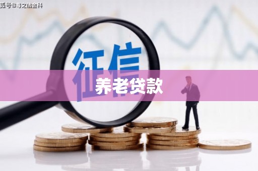 慈溪养老贷款