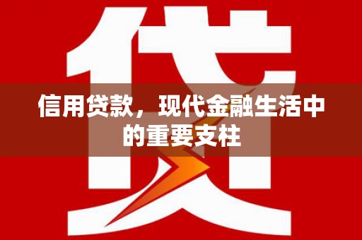 慈溪信用贷款，现代金融生活中的重要支柱