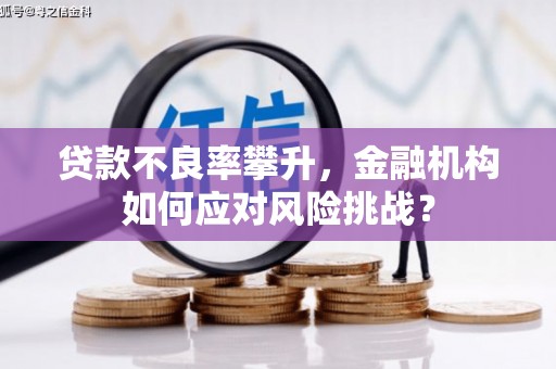 慈溪贷款不良率攀升，金融机构如何应对风险挑战？