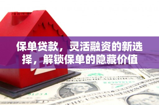 慈溪保单贷款，灵活融资的新选择，解锁保单的隐藏价值