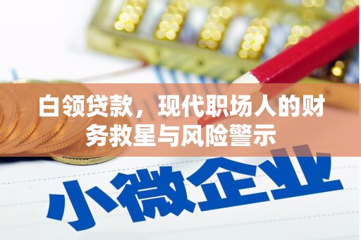慈溪白领贷款，现代职场人的财务救星与风险警示