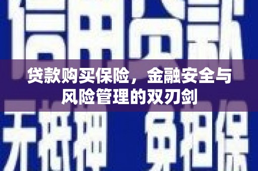 慈溪贷款购买保险，金融安全与风险管理的双刃剑