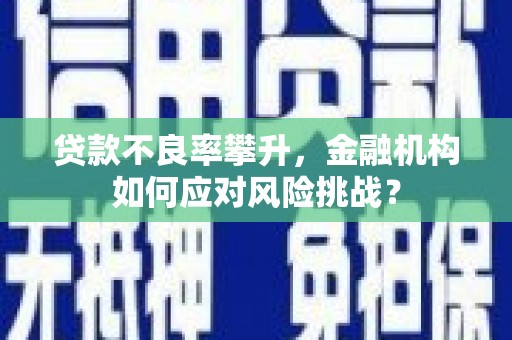 慈溪贷款不良率攀升，金融机构如何应对风险挑战？