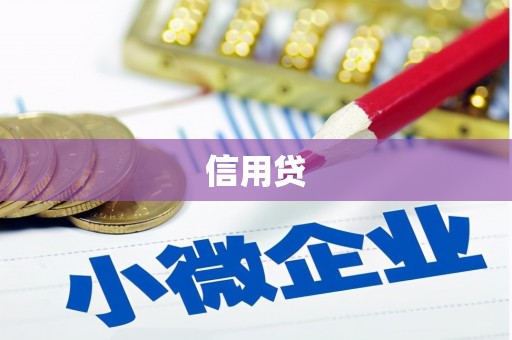 慈溪信用贷