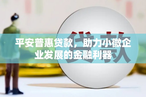 慈溪平安普惠贷款，助力小微企业发展的金融利器