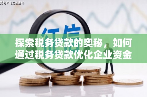 慈溪探索税务贷款的奥秘，如何通过税务贷款优化企业资金流