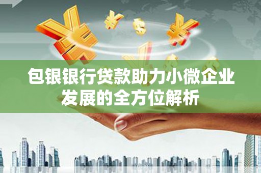 慈溪包银银行贷款助力小微企业发展的全方位解析