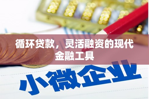 慈溪循环贷款，灵活融资的现代金融工具