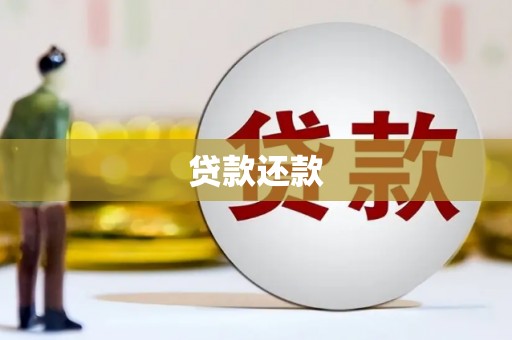 慈溪贷款还款