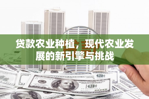 慈溪贷款农业种植，现代农业发展的新引擎与挑战