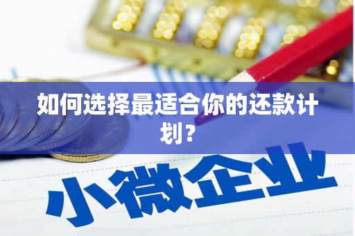 慈溪如何选择最适合你的还款计划？
