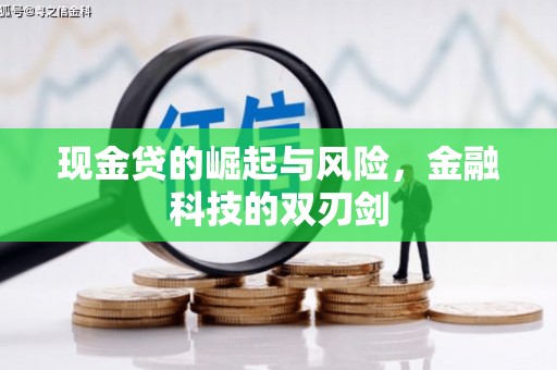 慈溪现金贷的崛起与风险，金融科技的双刃剑