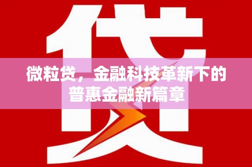 慈溪微粒贷，金融科技革新下的普惠金融新篇章