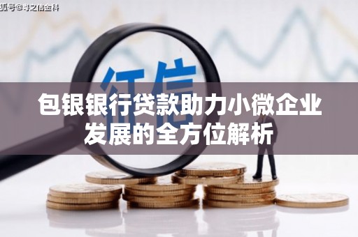 慈溪包银银行贷款助力小微企业发展的全方位解析