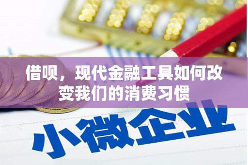 慈溪借呗，现代金融工具如何改变我们的消费习惯