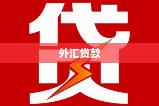 慈溪外汇贷款