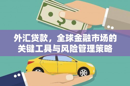 慈溪外汇贷款，全球金融市场的关键工具与风险管理策略