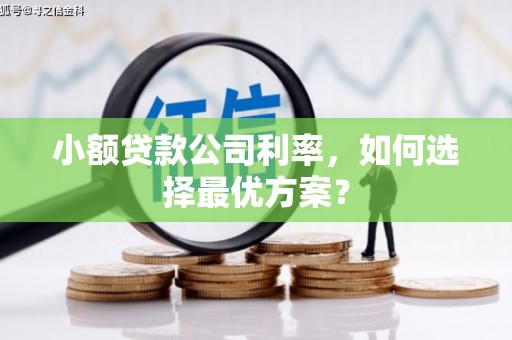 慈溪小额贷款公司利率，如何选择最优方案？