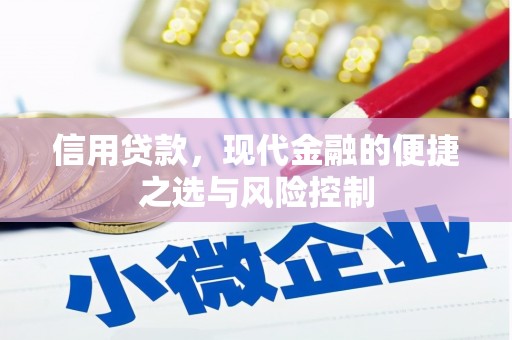 慈溪信用贷款，现代金融的便捷之选与风险控制