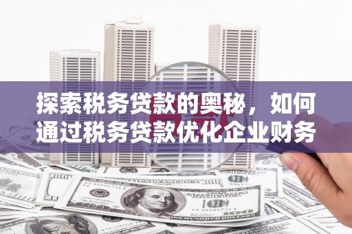 慈溪探索税务贷款的奥秘，如何通过税务贷款优化企业财务
