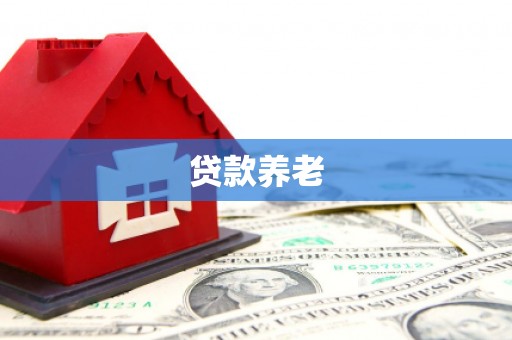 慈溪贷款养老