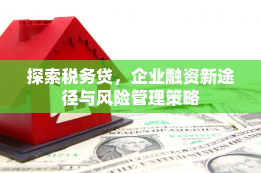 慈溪探索税务贷，企业融资新途径与风险管理策略
