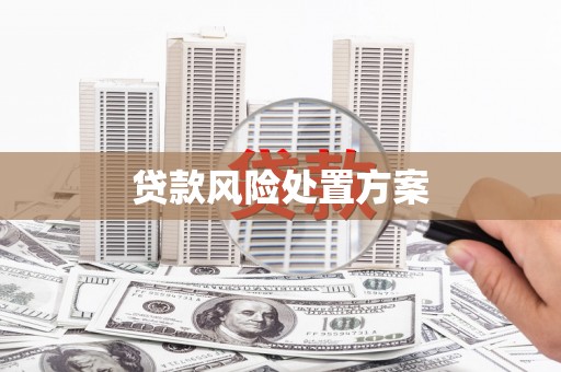 慈溪贷款风险处置方案