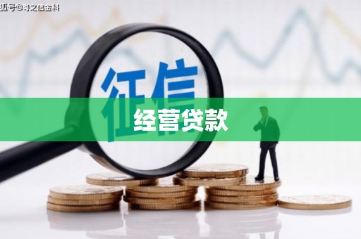 慈溪经营贷款