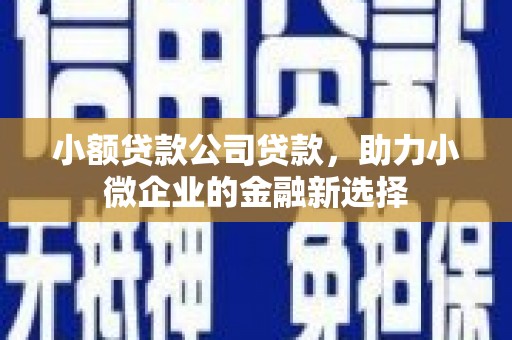 慈溪小额贷款公司贷款，助力小微企业的金融新选择