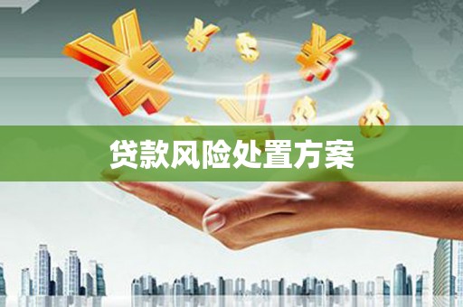 慈溪贷款风险处置方案