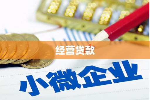 慈溪经营贷款