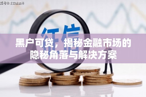 慈溪黑户可贷，揭秘金融市场的隐秘角落与解决方案