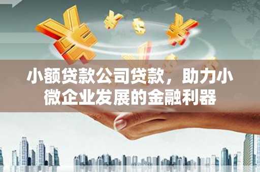 慈溪小额贷款公司贷款，助力小微企业发展的金融利器