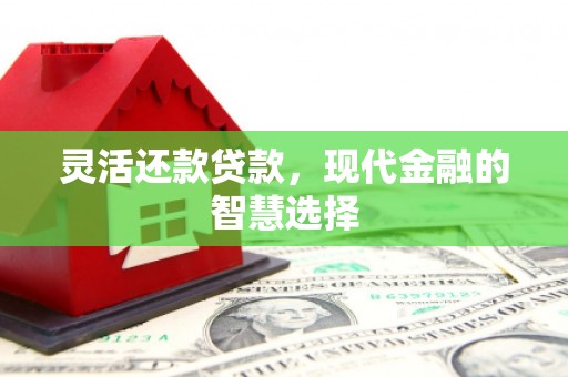 慈溪灵活还款贷款，现代金融的智慧选择