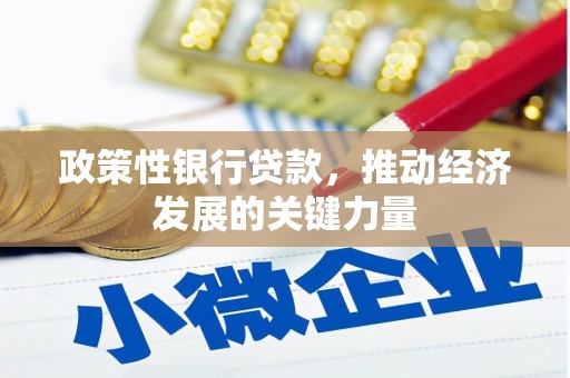 慈溪政策性银行贷款，推动经济发展的关键力量