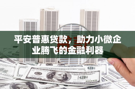 慈溪平安普惠贷款，助力小微企业腾飞的金融利器