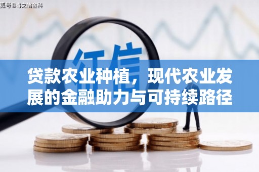 慈溪贷款农业种植，现代农业发展的金融助力与可持续路径