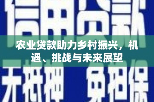 慈溪农业贷款助力乡村振兴，机遇、挑战与未来展望