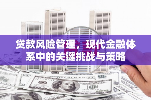慈溪贷款风险管理，现代金融体系中的关键挑战与策略