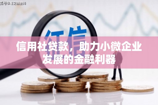 慈溪信用社贷款，助力小微企业发展的金融利器